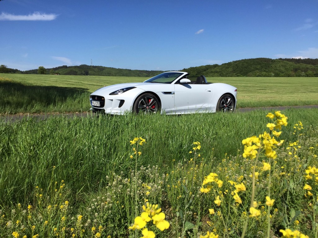Jaguar F-Type nun auch mit Allradantrieb 1 Jaguar F-Type AWD seitenansicht