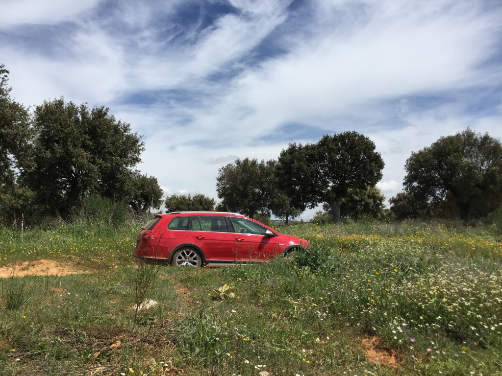 Der neue Golf Variant Alltrack - Die Eierlegendewollmilchsau 1 Golf Variant Alltrack Seitenansicht