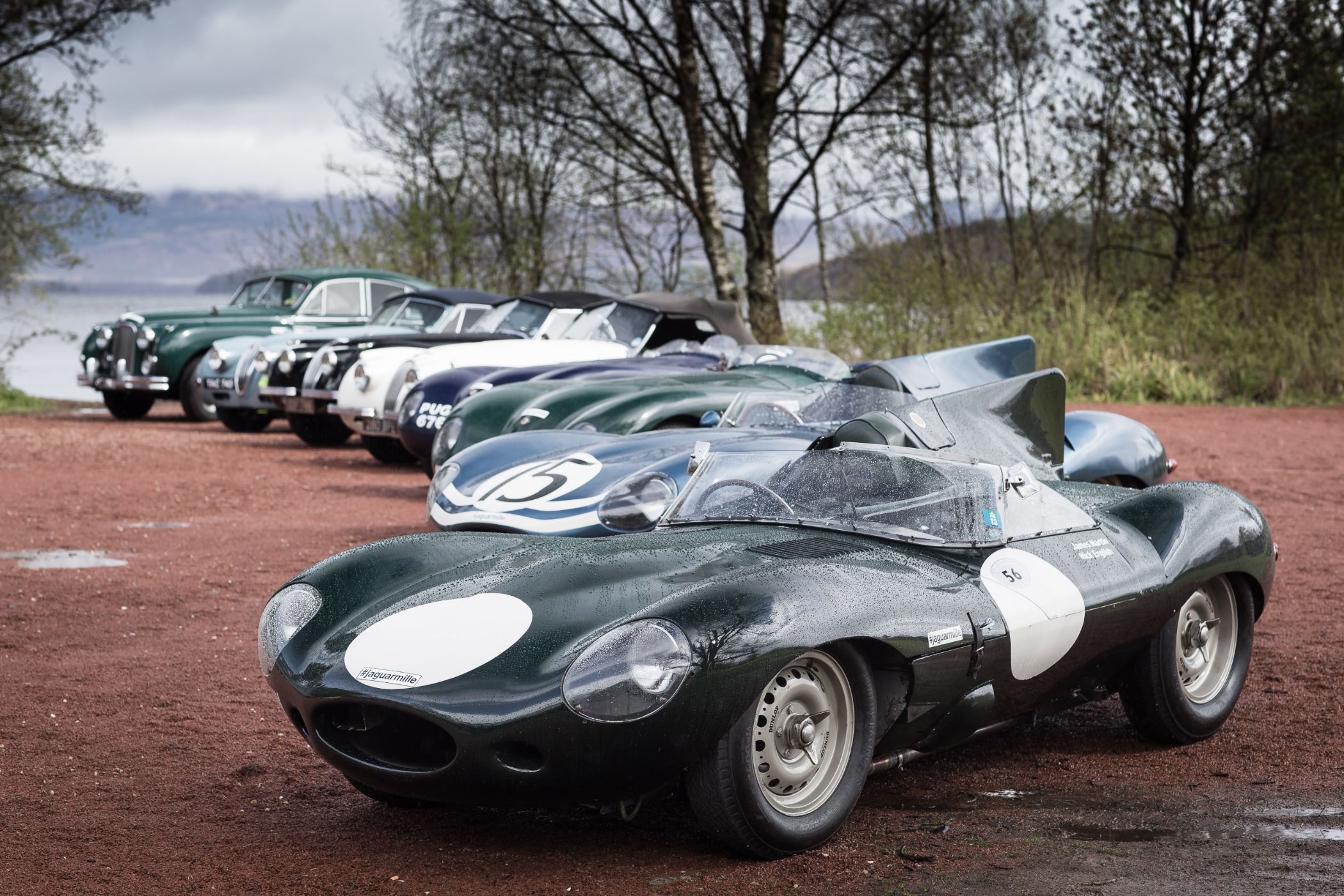 Jaguar flüchtet vor Geburtstagsfeierlichkeiten 5 der-Autotester