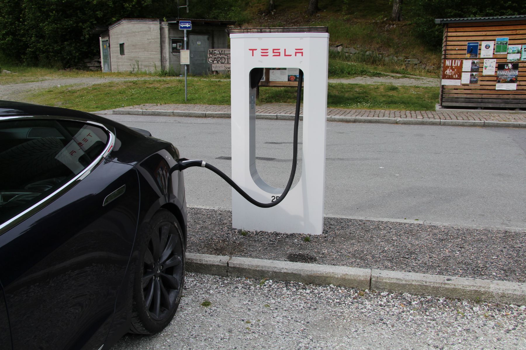 Umfrage: Tesla schafft autonomes Fahren zuerst 3 der-Autotester