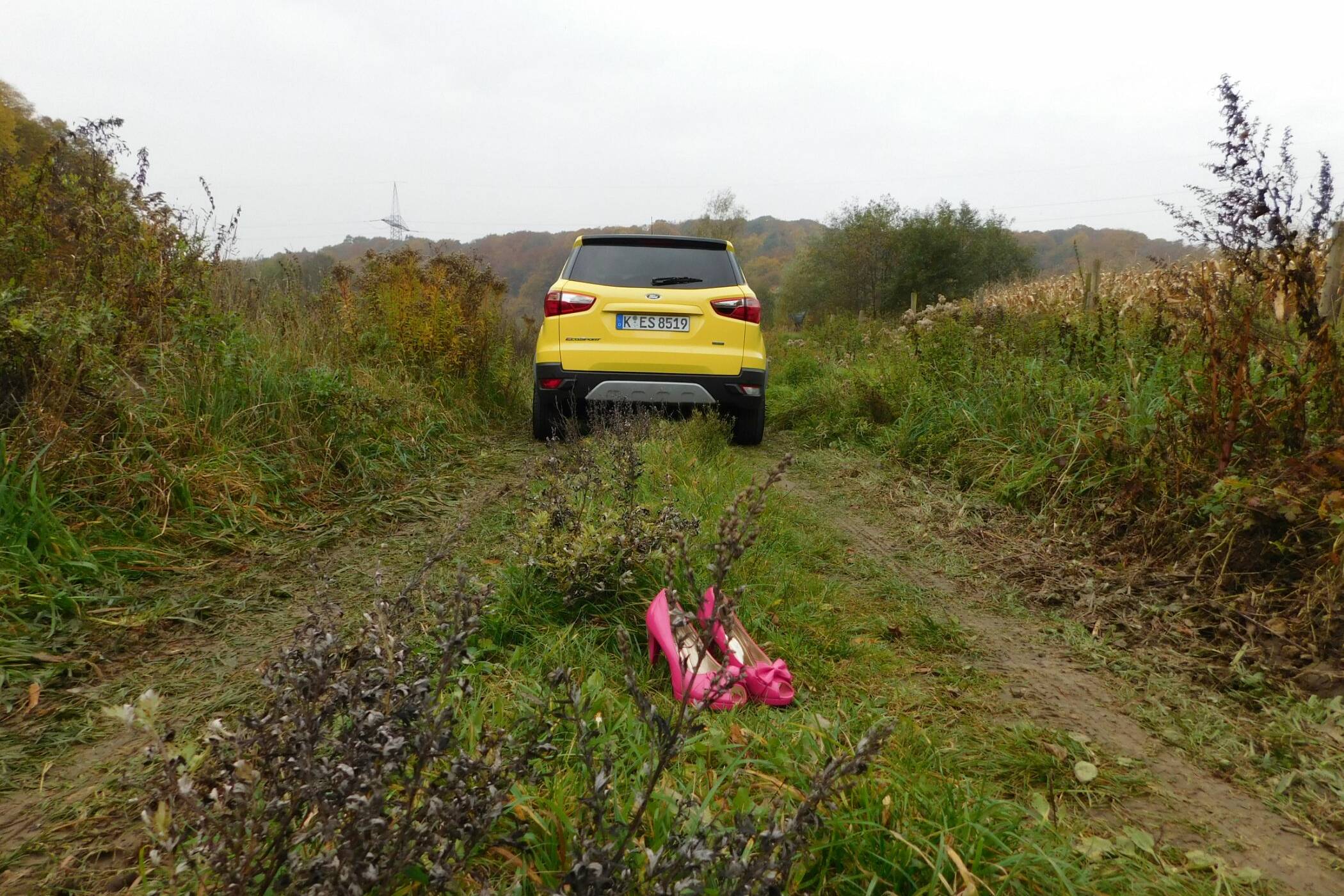 Ford EcoSport: Der Lifestyle-SUV ohne Allrad-Antrieb 33 der-Autotester