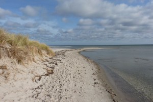 Mit dem Auto durch Nordjüdland 44 der-Autotester