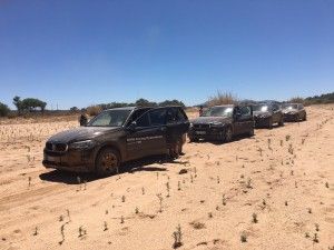 Tag 3: Rendezvous mit den afrikanischen Leoparden 16 der-Autotester