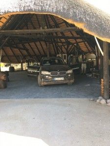 Tag 3: Rendezvous mit den afrikanischen Leoparden 35 der-Autotester