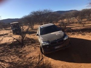 Tag 3: Rendezvous mit den afrikanischen Leoparden 18 der-Autotester