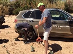 Tag 3: Rendezvous mit den afrikanischen Leoparden 21 der-Autotester