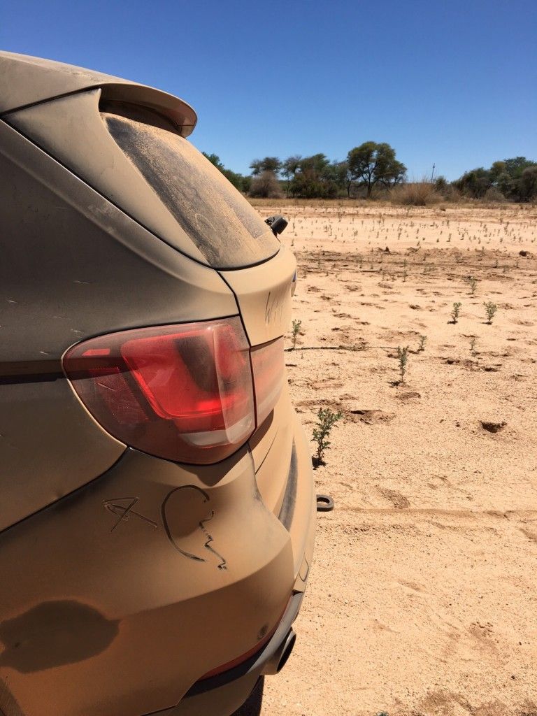Tag 3: Rendezvous mit den afrikanischen Leoparden 25 der-Autotester