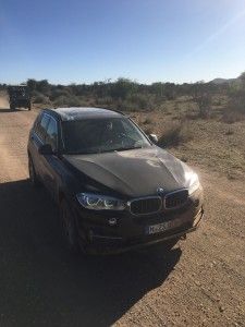 Tag 3: Rendezvous mit den afrikanischen Leoparden 9 der-Autotester