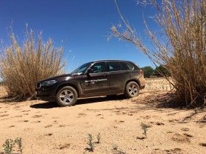 Tag 3: Rendezvous mit den afrikanischen Leoparden 15 der-Autotester