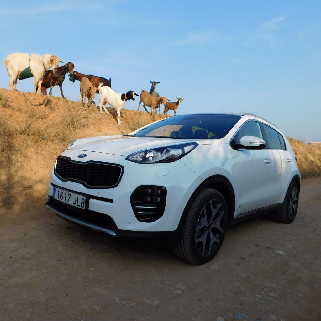 Der neue Kia Sportage ist ein echter Hingucker 11 Kia Sportage