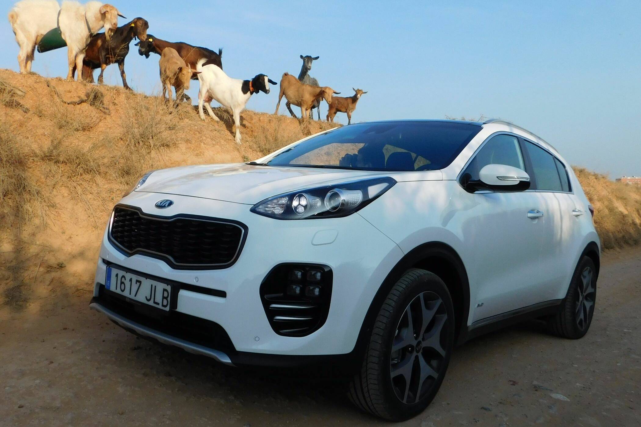 Kia erweitert Sportage-Angebotspalette 1 Kia Sportage