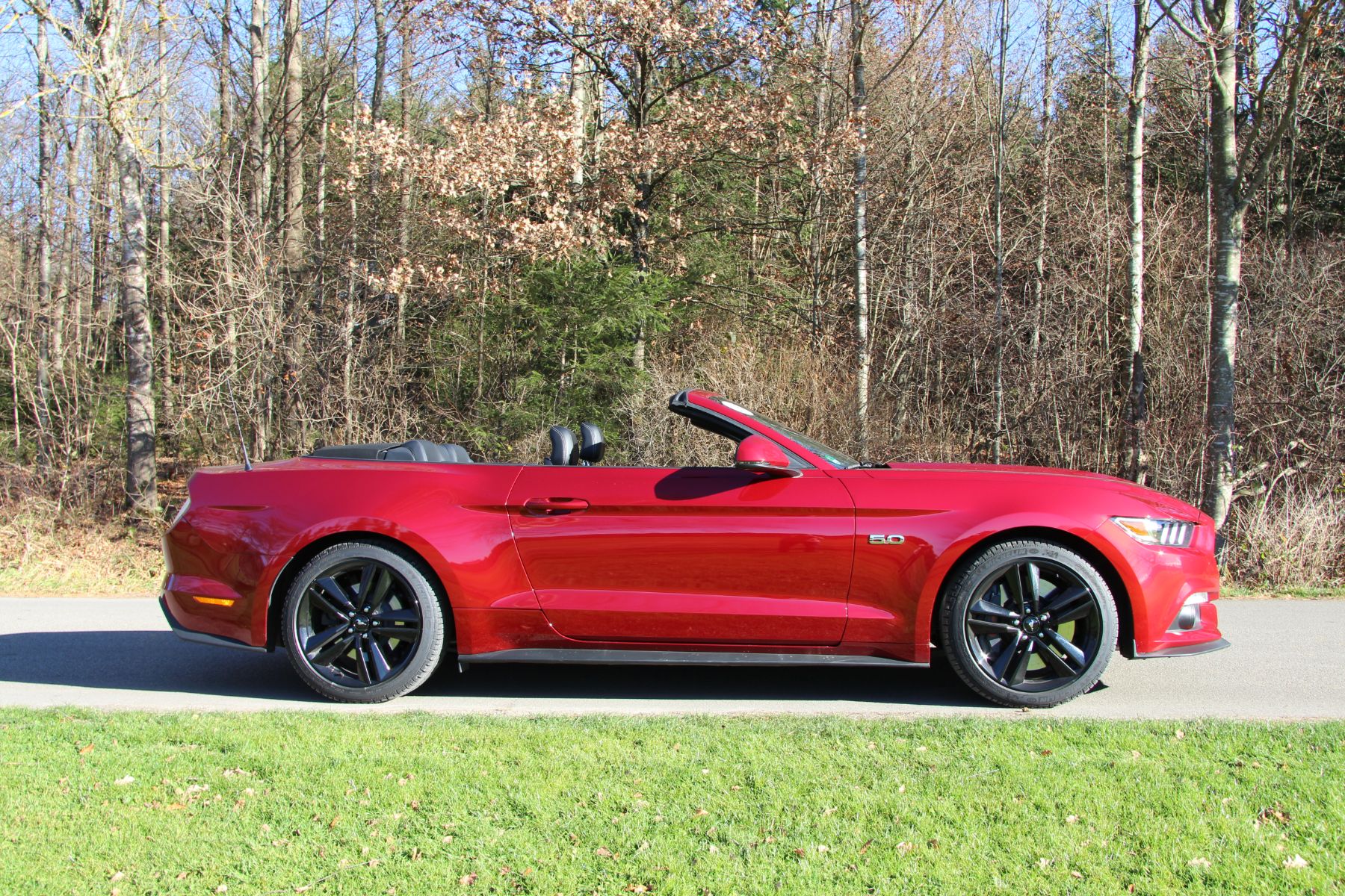 Ford Mustang zulassungsstärkster Sportwagen im August 5 der-Autotester