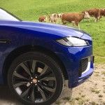 F-Pace - Endlich ein SUV von Jaguar 33 der-Autotester