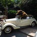 Oldtimertreffen in Baden-Baden: Golf GTI - Mythos liegt in der Luft 14 der-Autotester
