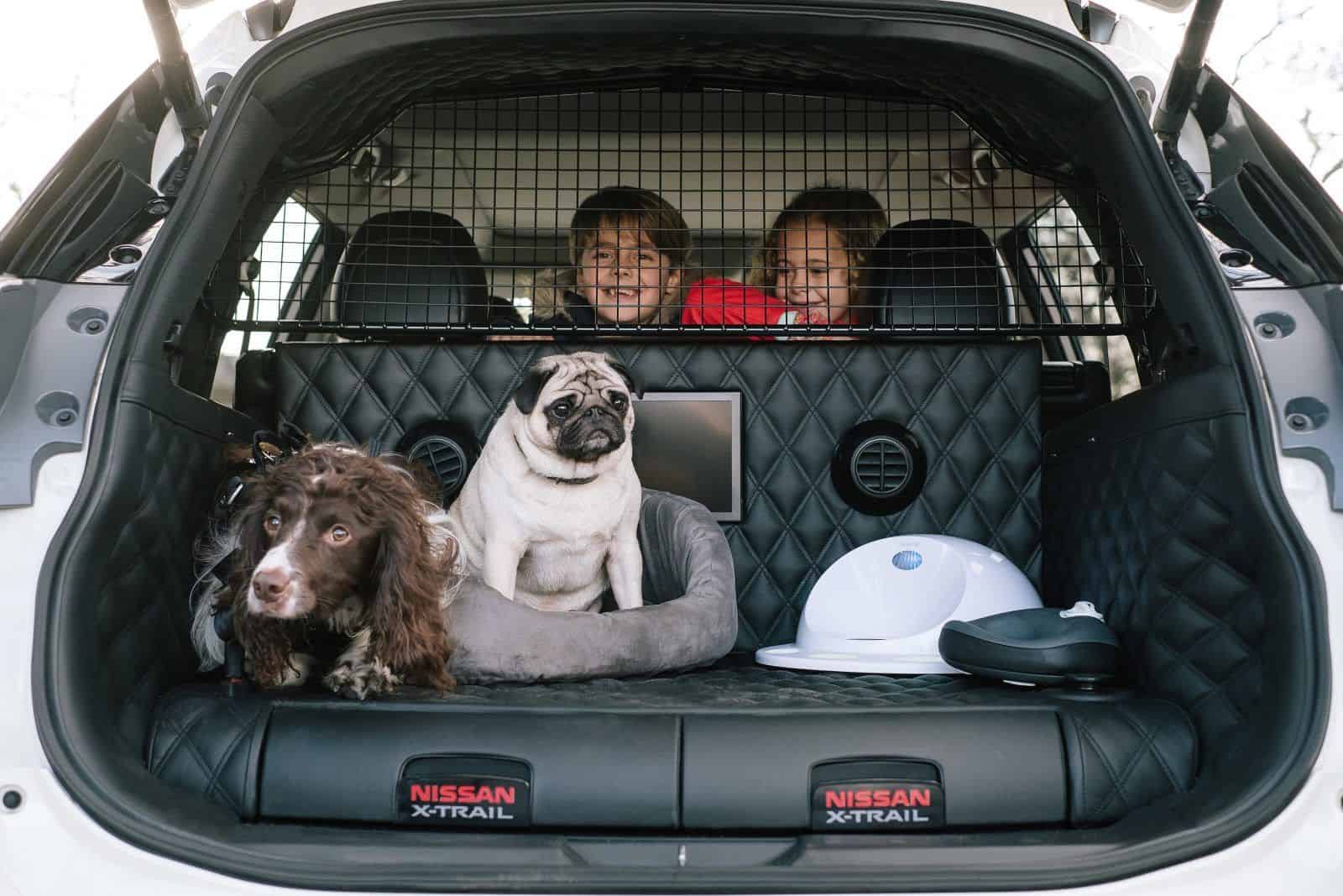 Mit dem Nissan X-Trail auf den Hund gekommen 1 der-Autotester