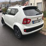 Suzuki Ignis - Zwergen-SUV zum Liebhaben 15 der-Autotester