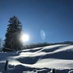 Ankommen im Puradies – 4-Sterne-Superior und paradiesische Natur 32 der-Autotester