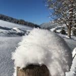 Ankommen im Puradies – 4-Sterne-Superior und paradiesische Natur 29 der-Autotester