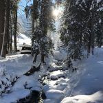 Ankommen im Puradies – 4-Sterne-Superior und paradiesische Natur 31 der-Autotester