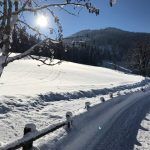 Ankommen im Puradies – 4-Sterne-Superior und paradiesische Natur 28 der-Autotester