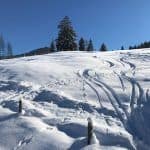 Ankommen im Puradies – 4-Sterne-Superior und paradiesische Natur 27 der-Autotester