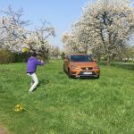 Seat Ateca - Erstes SUV der spanischen VW Tochter bleibt nah am Tiguan 29 der-Autotester