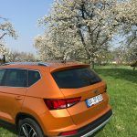 Seat Ateca - Erstes SUV der spanischen VW Tochter bleibt nah am Tiguan 27 der-Autotester