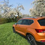 Seat Ateca - Erstes SUV der spanischen VW Tochter bleibt nah am Tiguan 26 der-Autotester