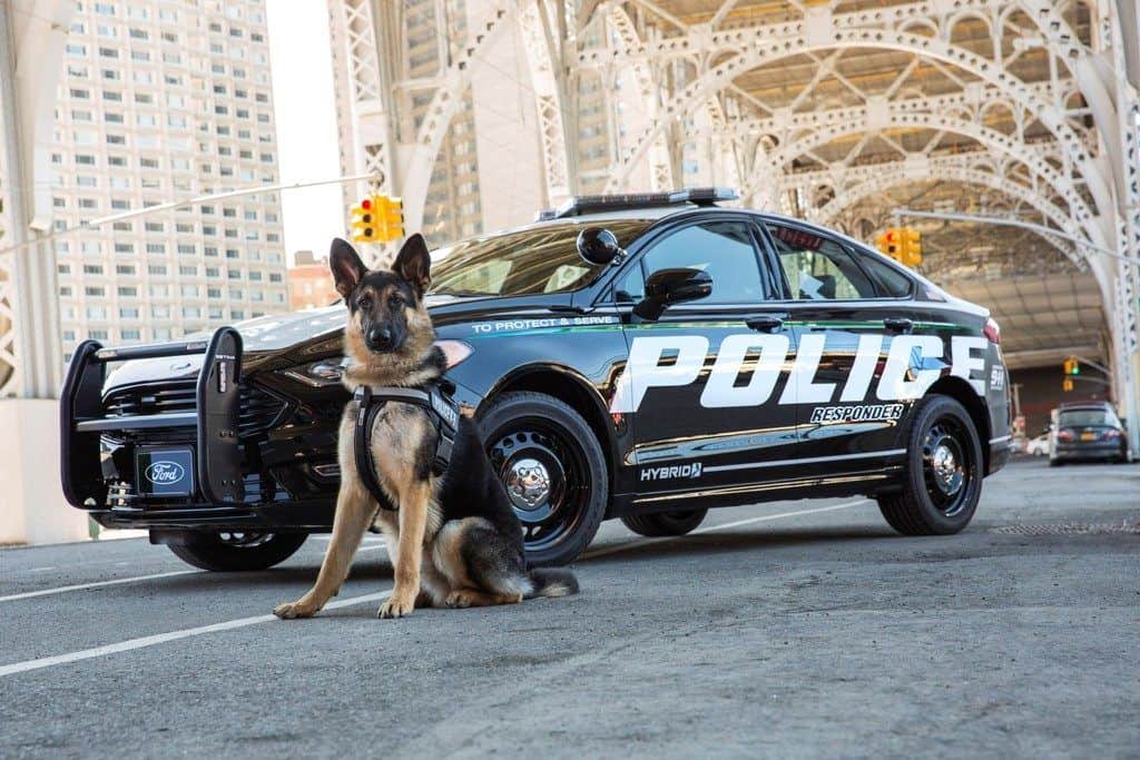 Die US-Polizei geht elektrisch auf Ganovenjagd 1 der-Autotester