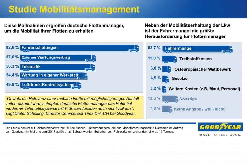 Immer auf Achse: So effizient fahren deutsche Brummis 1 der-Autotester