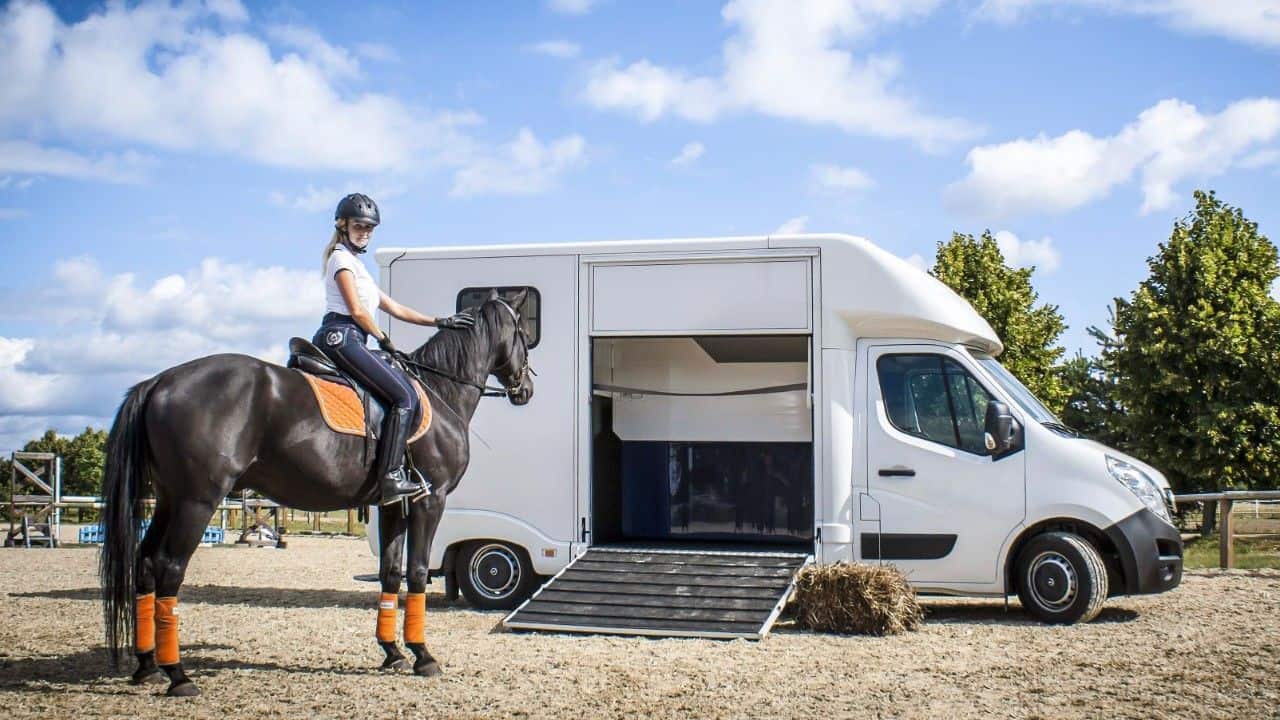 Opel Combo, Vivaro und Movano - Mehr als 400 Nutzfahrzeug-Varianten ab Werk 1 der-Autotester
