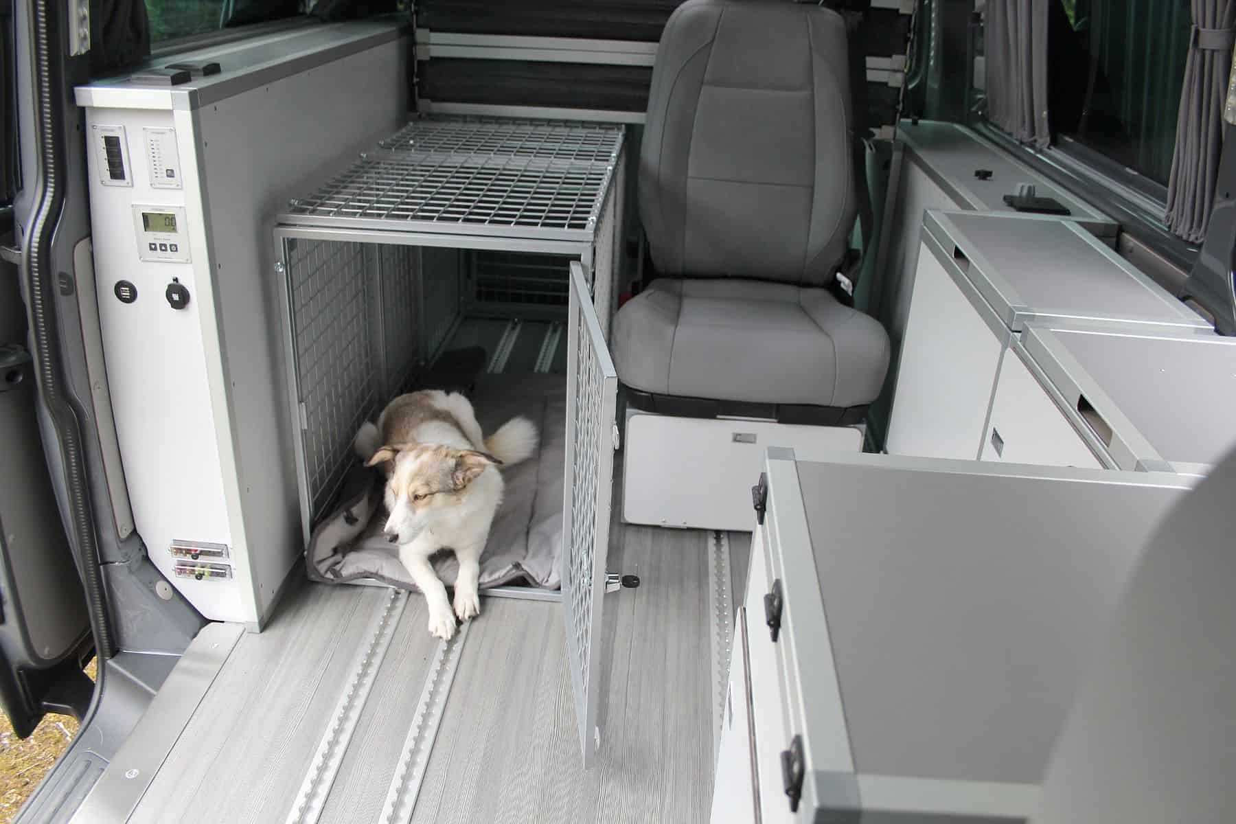 Dogscamper: Urlaub mit vier Pfoten 1 der-Autotester