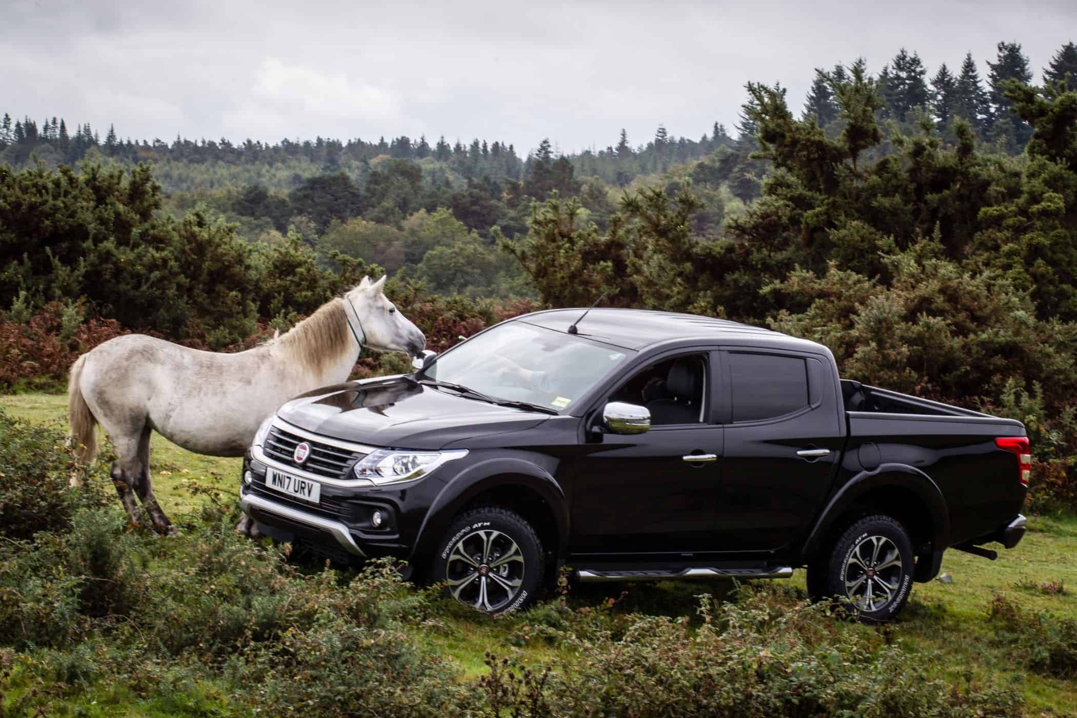Durch Südengland mit dem Fiat Fullback 15 der-Autotester