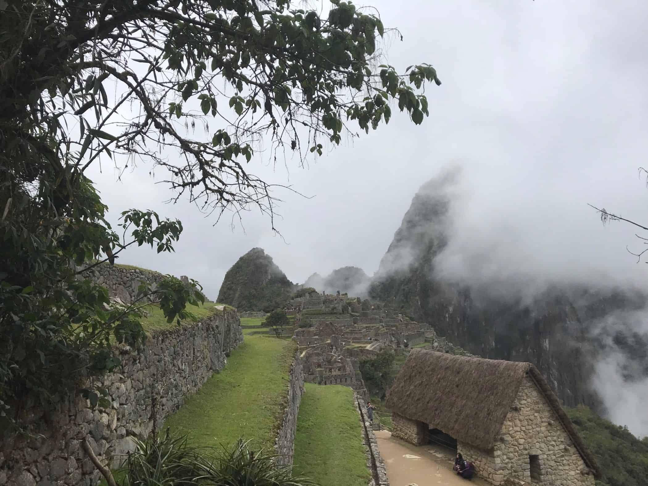 LET 2017: Mit der Inca Rail nach Machu Picchu und Meerschweinchen satt 9 der-Autotester