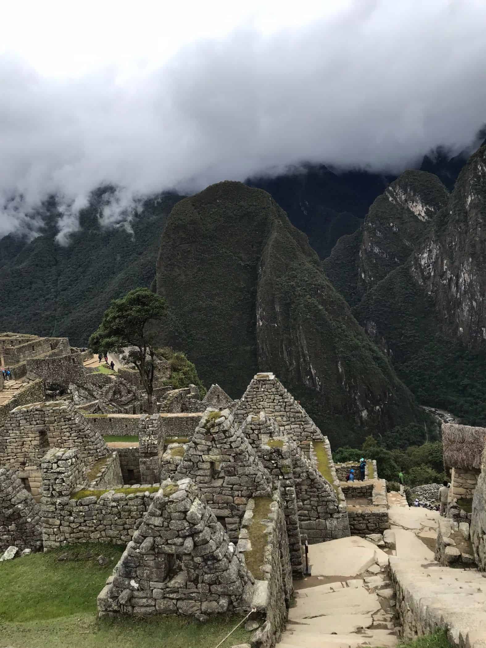LET 2017: Mit der Inca Rail nach Machu Picchu und Meerschweinchen satt 18 der-Autotester