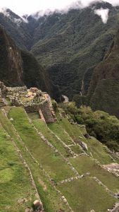 LET 2017: Mit der Inca Rail nach Machu Picchu und Meerschweinchen satt 11 der-Autotester