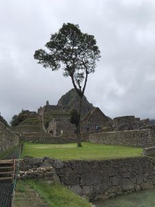 LET 2017: Mit der Inca Rail nach Machu Picchu und Meerschweinchen satt 10 der-Autotester