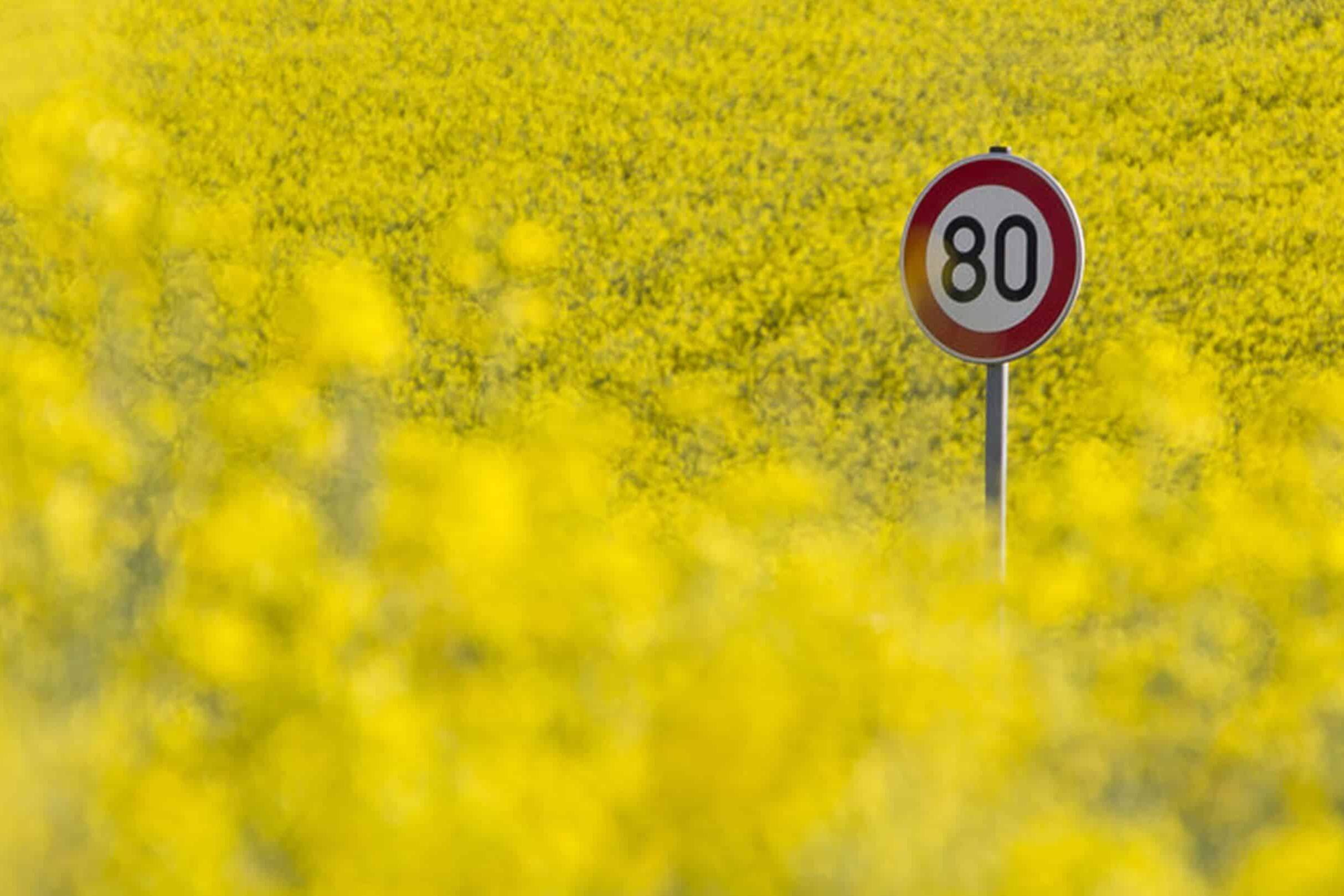 Frankreich tritt auf die Bremse 3 Tempo 80