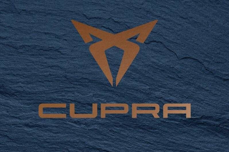 Genf 2018: Die schnellsten Seat tragen bald ein Cupra-Logo 43 Cupra