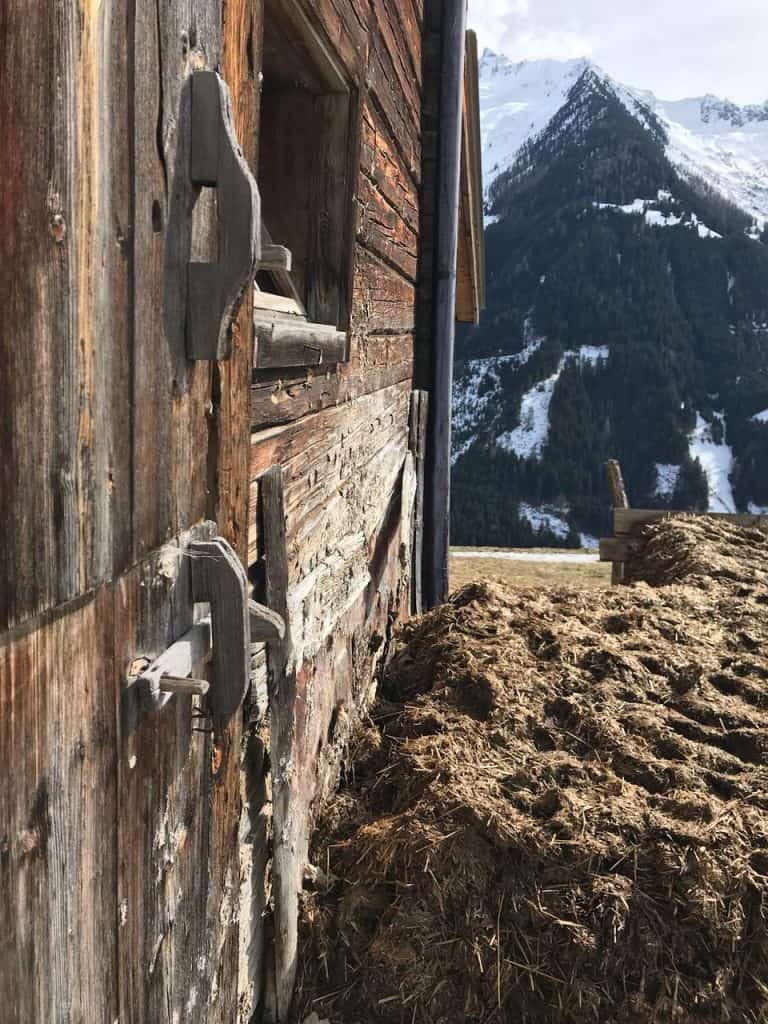 Auszeit in Mayrhofen: Hotel Elisabeth - Refugium für Erwachsene 16 der-Autotester