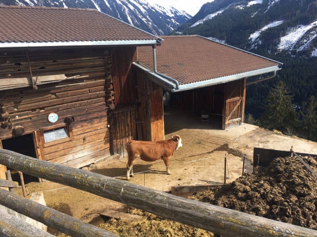 Auszeit in Mayrhofen: Hotel Elisabeth - Refugium für Erwachsene 13 der-Autotester