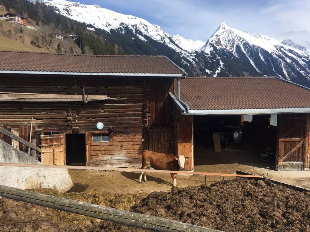 Auszeit in Mayrhofen: Hotel Elisabeth - Refugium für Erwachsene 14 der-Autotester