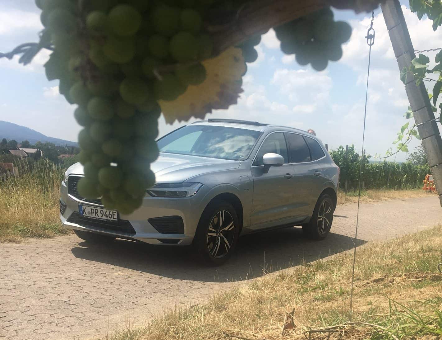 Volvo XC60 Plug-in Hybrid - Nutzt die Vorteile von zwei Antrieben 16 der-Autotester