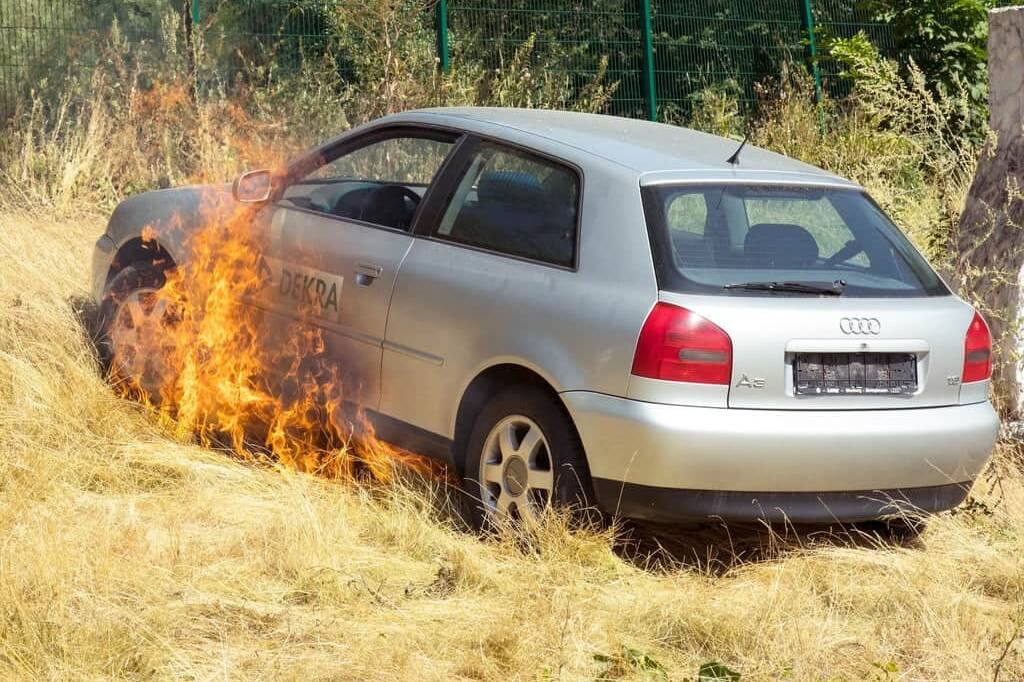 Ratgeber: Hohe Gräser werden schnell zur Brandfalle 5 der-Autotester