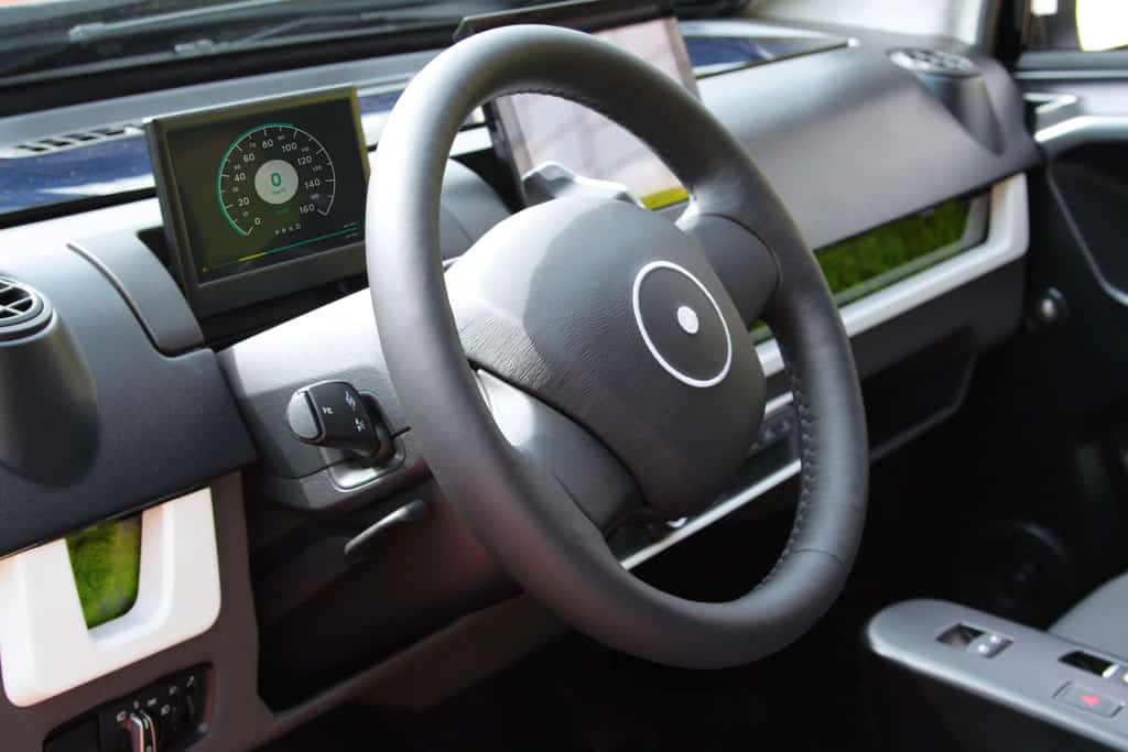 Sono Sion: Henry Fords Erben 3 der-Autotester