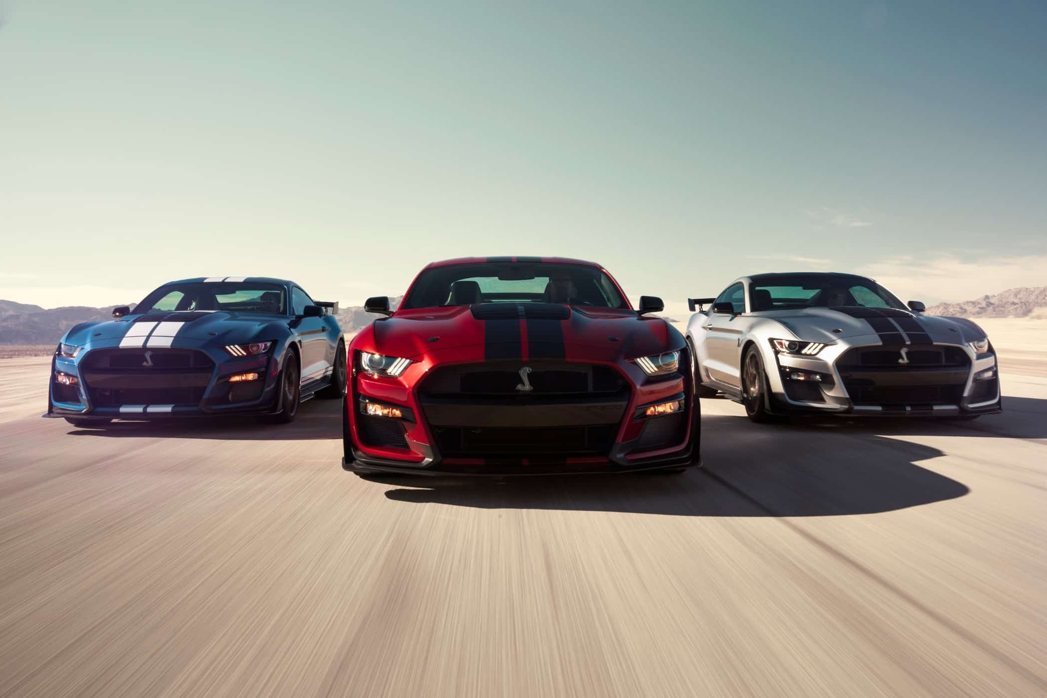 Der neue Ford Mustang Shelby GT500 nicht für Europa 1 Mustang Shelby GT500