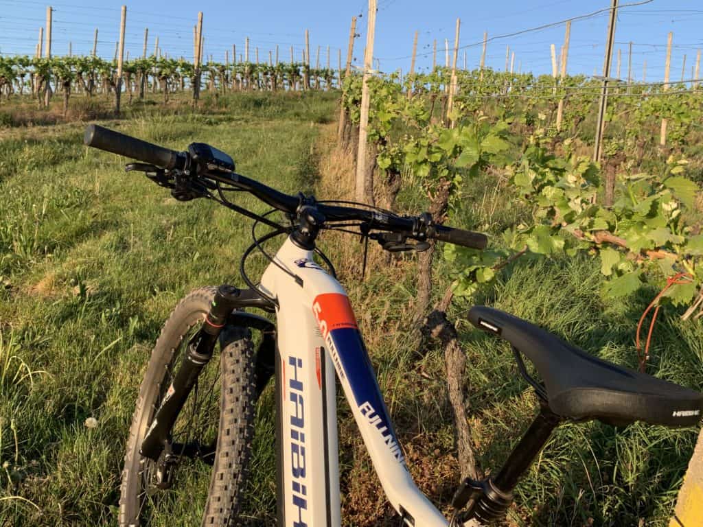 Haibike Sduro FullNine 5.0 (2019): Das Fully für sportliche Genießer 9 Haibike Sduro FullNine 5.0 (2019)