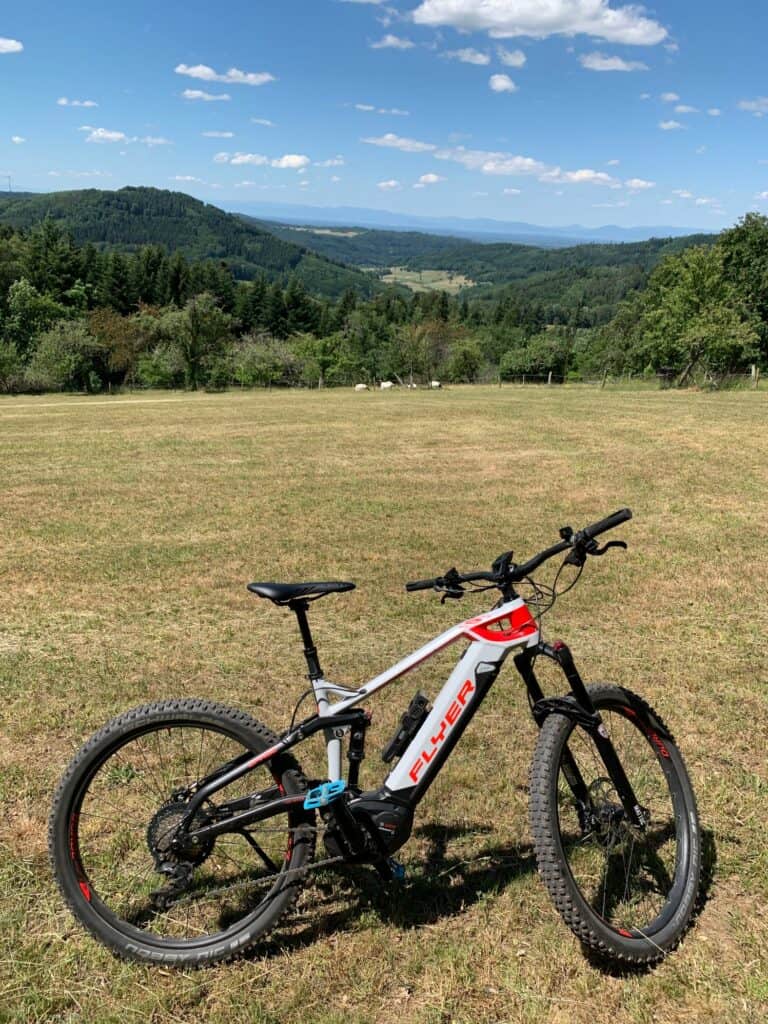 e-MTB Flyer uproc3 4.10 grau (2019) - Test des Schweizer Fully 8 e-MTB Flyer uproc3 4.10 grau (2019)