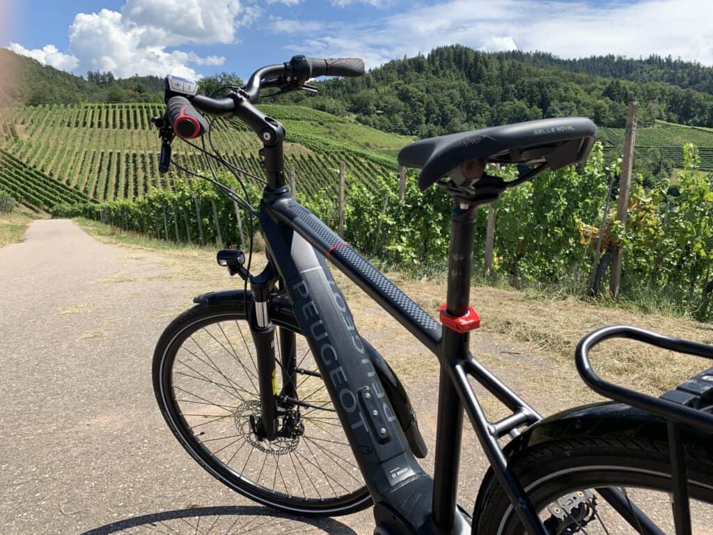 Leasing und Sonderförderung in Baden-Württemberg 1 Peugeot eT01 Riemen PowerTube (2020) - Das besonders leise E-Trekking Bike