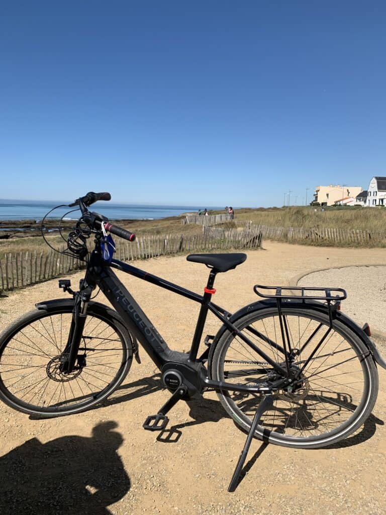 Peugeot eT01 Riemen PowerTube (2020) - Das besonders leise E-Trekking Bike 10 Peugeot eT01 Riemen PowerTube (2020) - Das besonders leise E-Trekking Bike